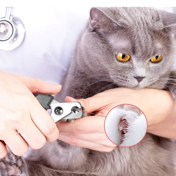 New Nail Trimmer for Medium and Large Breed of Dogs Clipper with Safety Guard - Picture 5 of 6